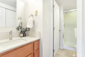 Lower level en suite bathroom.