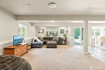 Basement great room, potential studio apartment!