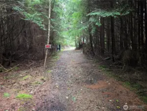 Looking south down the existing roadway to the cleared area.