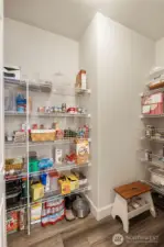 Large walk-in kitchen pantry.