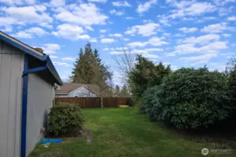 Backyard looking towards the raised beds and fruit trees.
