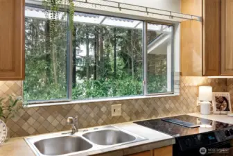 View from the kitchen