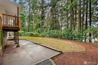 Backyard from the north