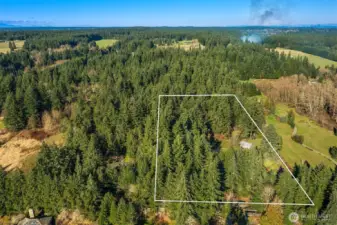 The mid-isle location on Burton Hill puts you within easy reach of the Burton Store, Burton Coffee Stand and access to Vashon Highway for mere minutes to the village of Vashon or the ferries to Seattle, Kitsap or Tacoma.