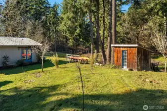Orchard entrance to studio. Garden shed is on the right. There are over 20 varieties of young fruit and nut trees on the property. Seller will supply the full inventory.