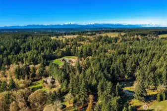 Vashon is a rural paradise in the center of bustling Puget Sound. Truly a unique place with arts, music, festivals and a deep sense of community.