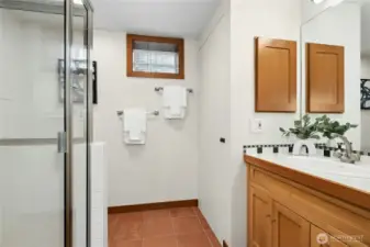 Lower level bathroom