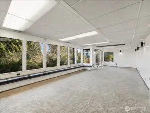 Downstairs family room