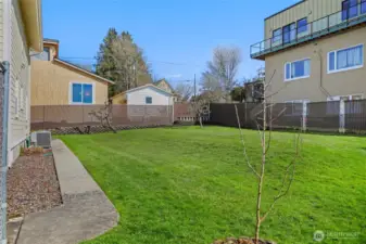 Oversized backyard