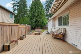 Composite Deck Picture #2