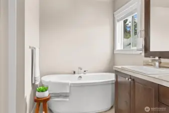 Primary freestanding tub