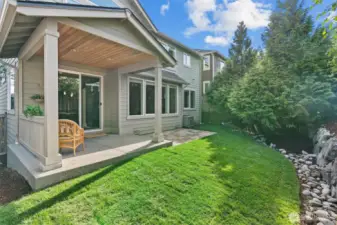 Back yard