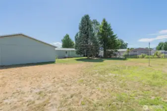 Large back yard.