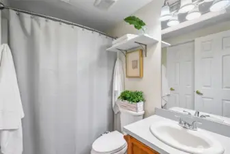 Guest (3/4) bathroom
