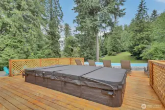 Relax in the private swim spa under the stars.