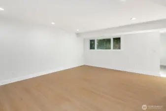 lower level family room