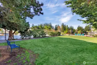 Lawn area right next to the pickle ball court.