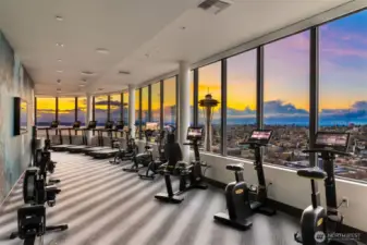The GYM