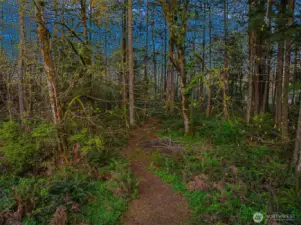 explore in your own backyard.