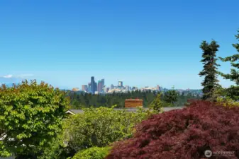 Views of Downtown Seattle