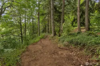 Walking trails in back