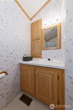 Bathroom sink.