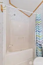 Tub/shower combo.