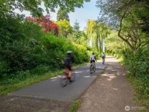 The Burke-Gilman Trail is just blocks away.