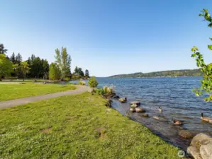 Matthews Beach is just around the corner and is ready for these hot Seattle days.