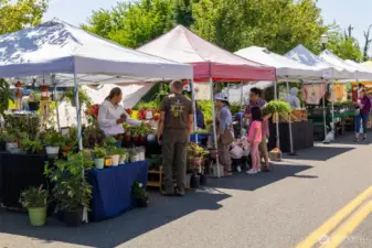 Walking distance to downtown Burien, the weekly Farmer’s Market, and all the vibrant local amenities the area has to offer