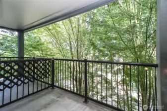 Patio shaded and private