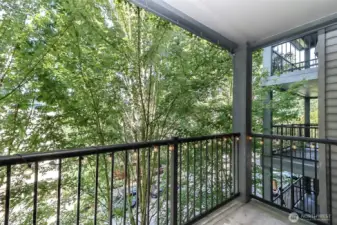 Large patio
