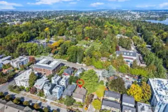 Great location near the Woodland Park Zoo & Rose Garden, Greenlake, & Phinney Ridge amenities.