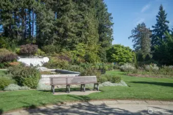 Walk to the Rose Garden!