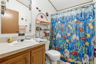 Full guest bathroom.