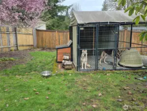 Kennel Pad or Shed Space