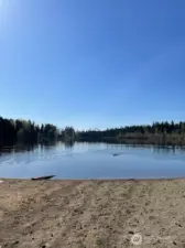 Playful Sunny day at the Beach