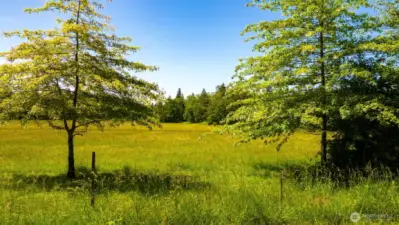 Tremendous opportunity to purchase beautiful acreage that has city water and is less than 5 minutes from downtown Blaine!