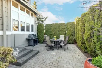 Private backyard and patio. Gas hookup for grill.