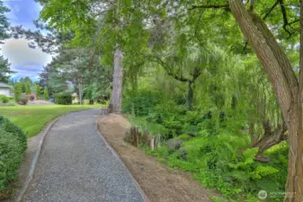 Wandering Creek Common area:  trail, greenbelt and creek.