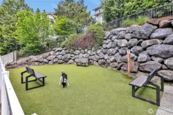 Dog park for the complex.