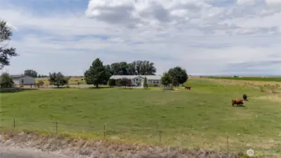 5 acres ready for your hobby farm