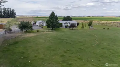 5 acres ready for your hobby farm