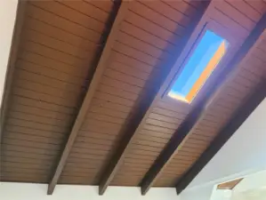 Living room has a skylight for even more light.