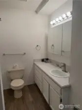 Primary Bath.