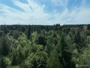 Drone View from above property