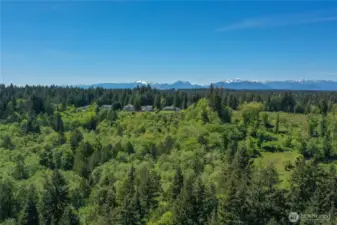 The property is to the right of the last house on the ridge. The big fir trees in the center right of the photo are on this lot.