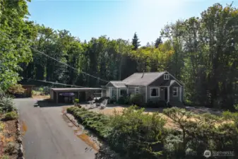 Flowers bloom in driveway in season