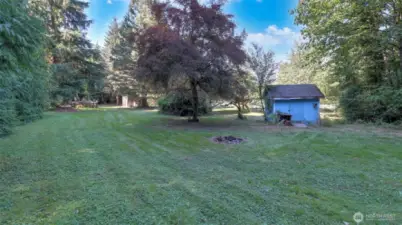 Spacious backyard with cozy firepit, ideal for evenings under the stars.