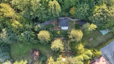Bird’s-eye view of the grounds highlighting outdoor living potential and natural setting.
